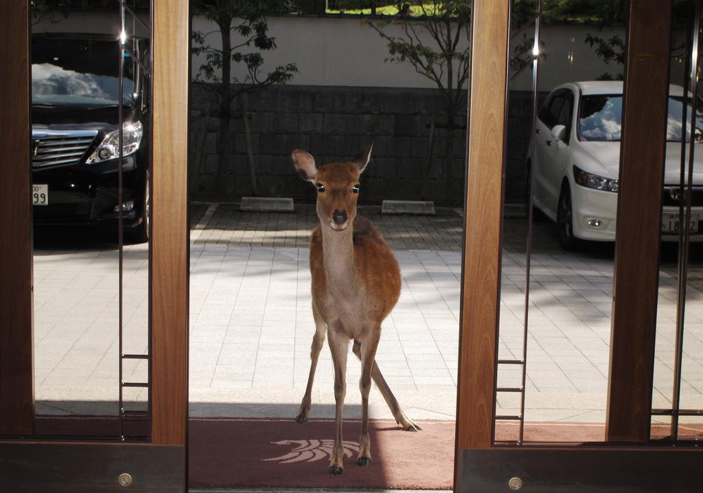 Noborioji Hotel Nara Extérieur photo